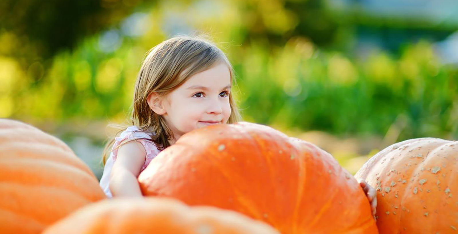 Pumpkin Patch Fall Festival 2024 – Nature Discovery Center