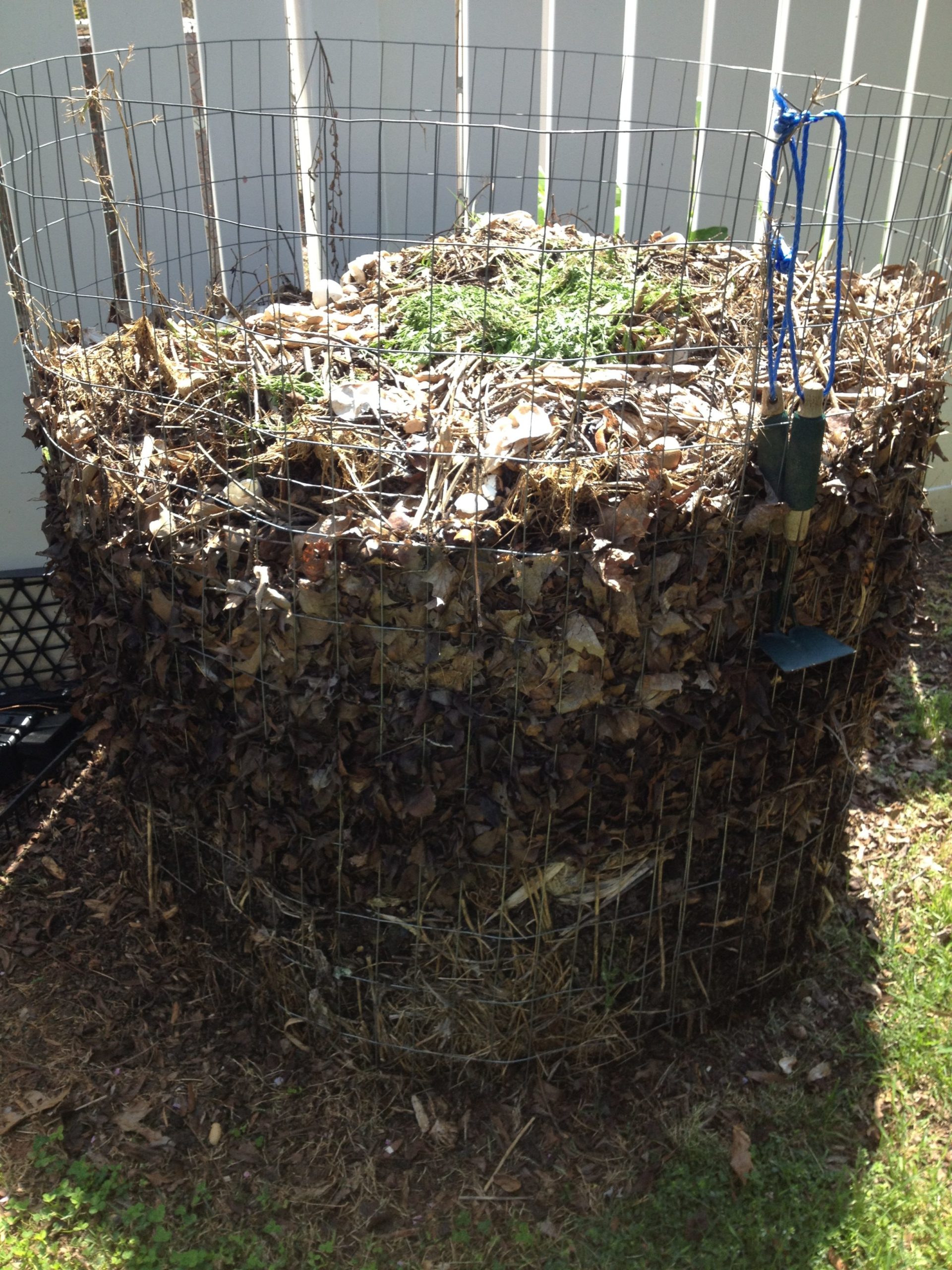 hot compost pile Nature Discovery Center