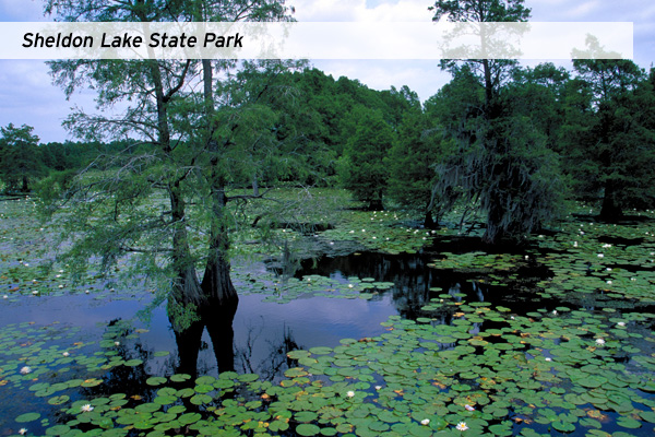Picture of Sheldon Lake State Park from Texas Parks and Wildlife