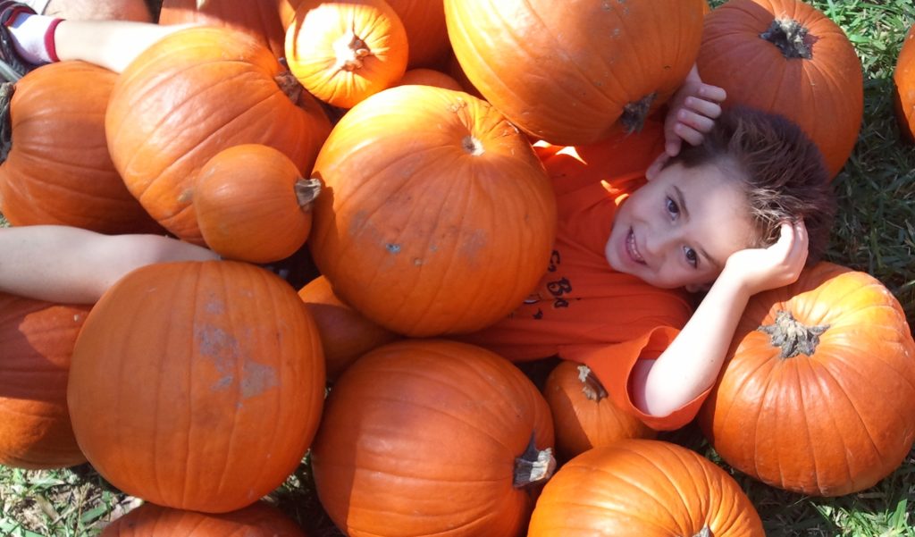 This image has an empty alt attribute; its file name is NDC-Pumpkin-Patch-Photo-Option-1-1024x601.jpg