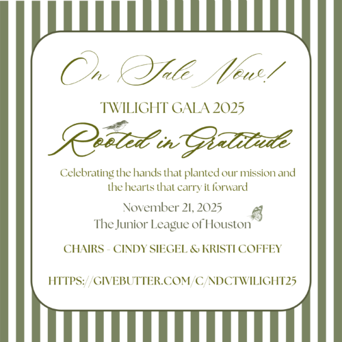 Rooted In Gratitude STD - Social